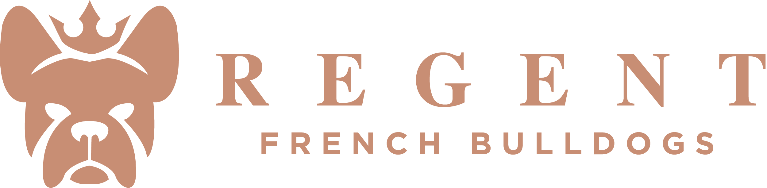Regent French Bulldogs